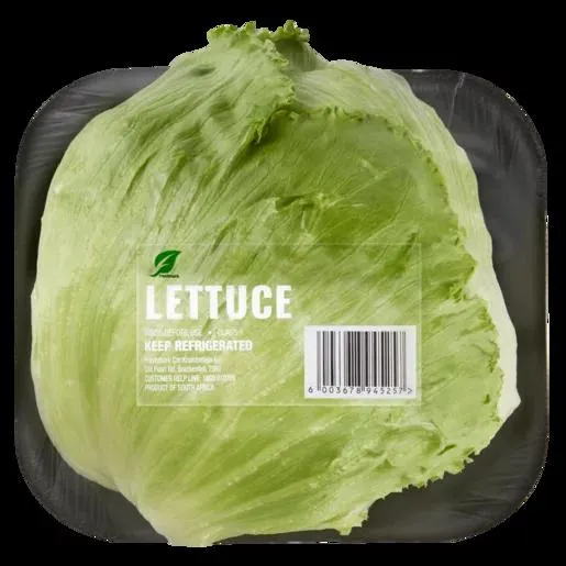 Crisp Lettuce Head