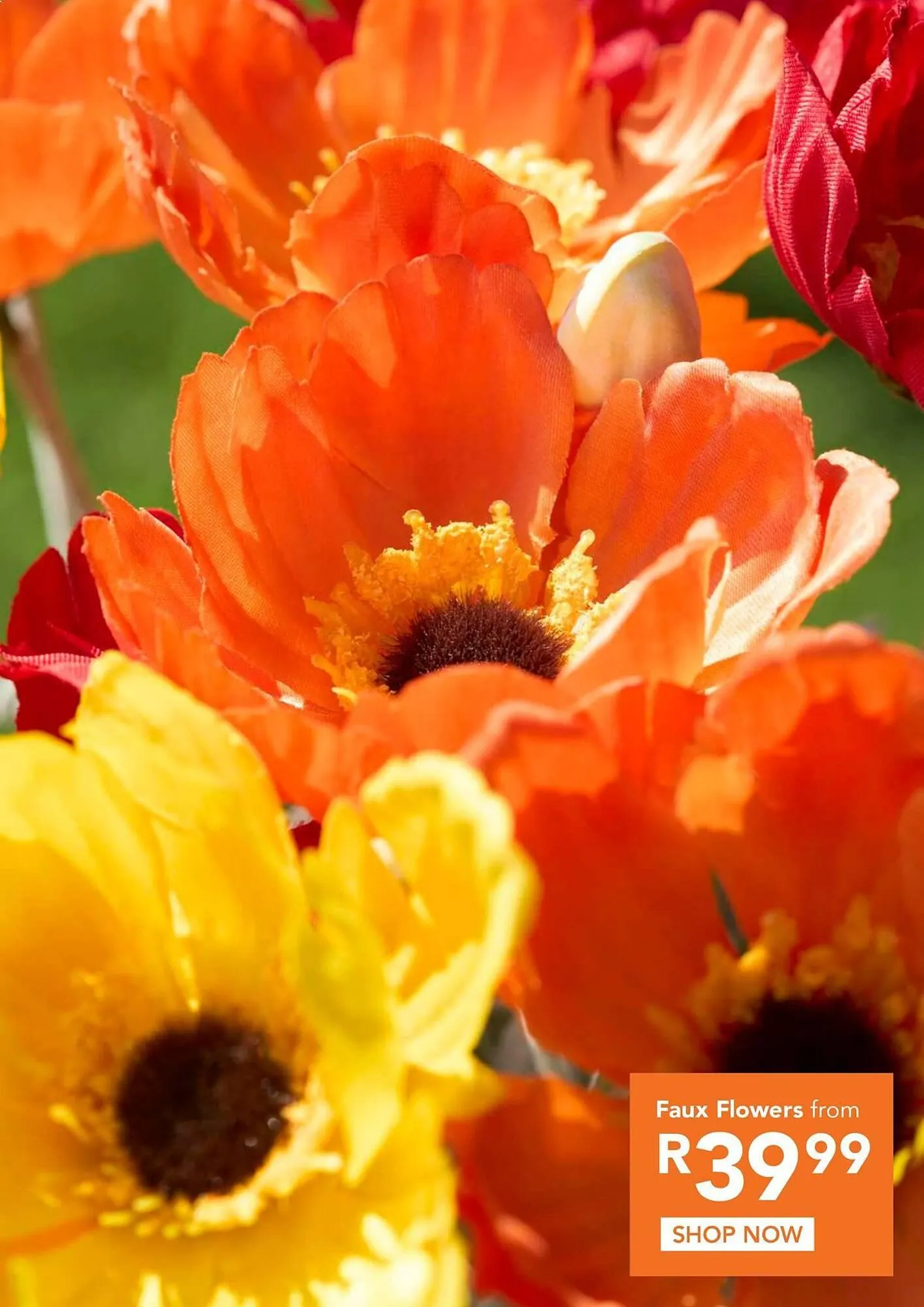 Sheet Street catalogue from 19 November to 3 December 2024 - Catalogue Page 2