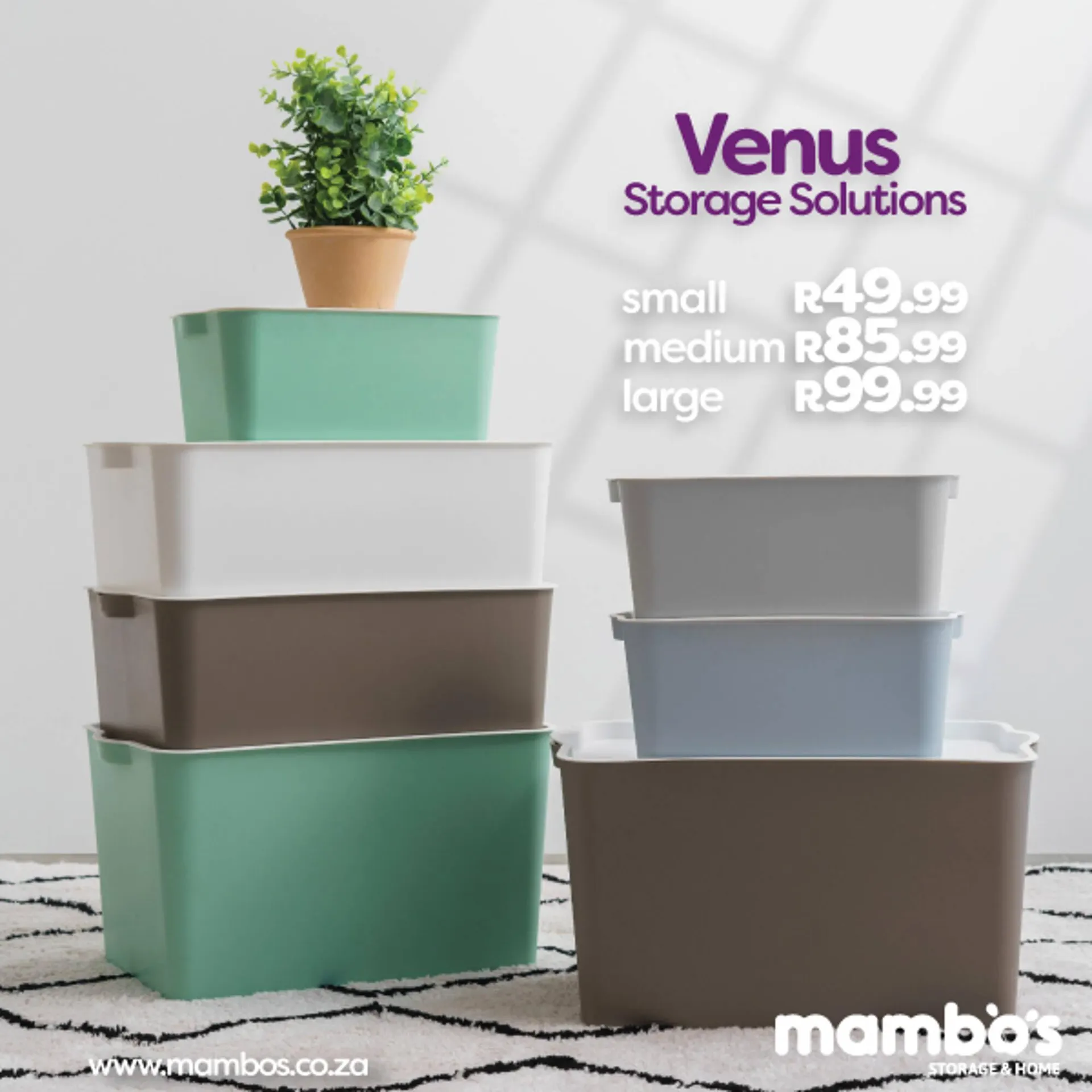 Mambo's Plastics Warehouse catalogue from 16 July to 22 July 2025 - Catalogue Page 1