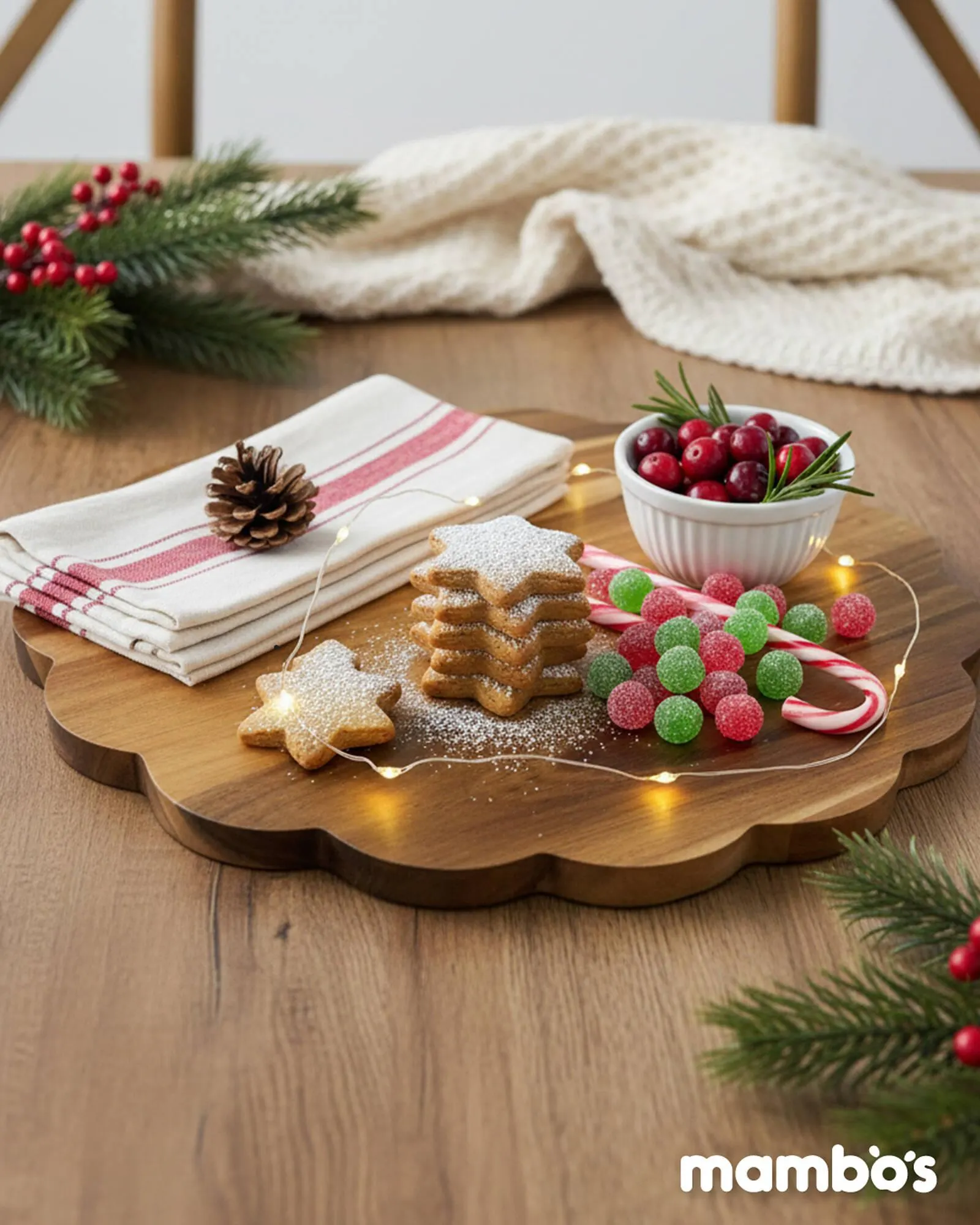 Mambo's Plastics Warehouse catalogue from 5 December to 11 December 2025 - Catalogue Page 4