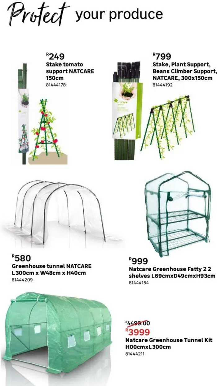 Live Love Garden. from 9 August to 3 September 2024 - Catalogue Page 17