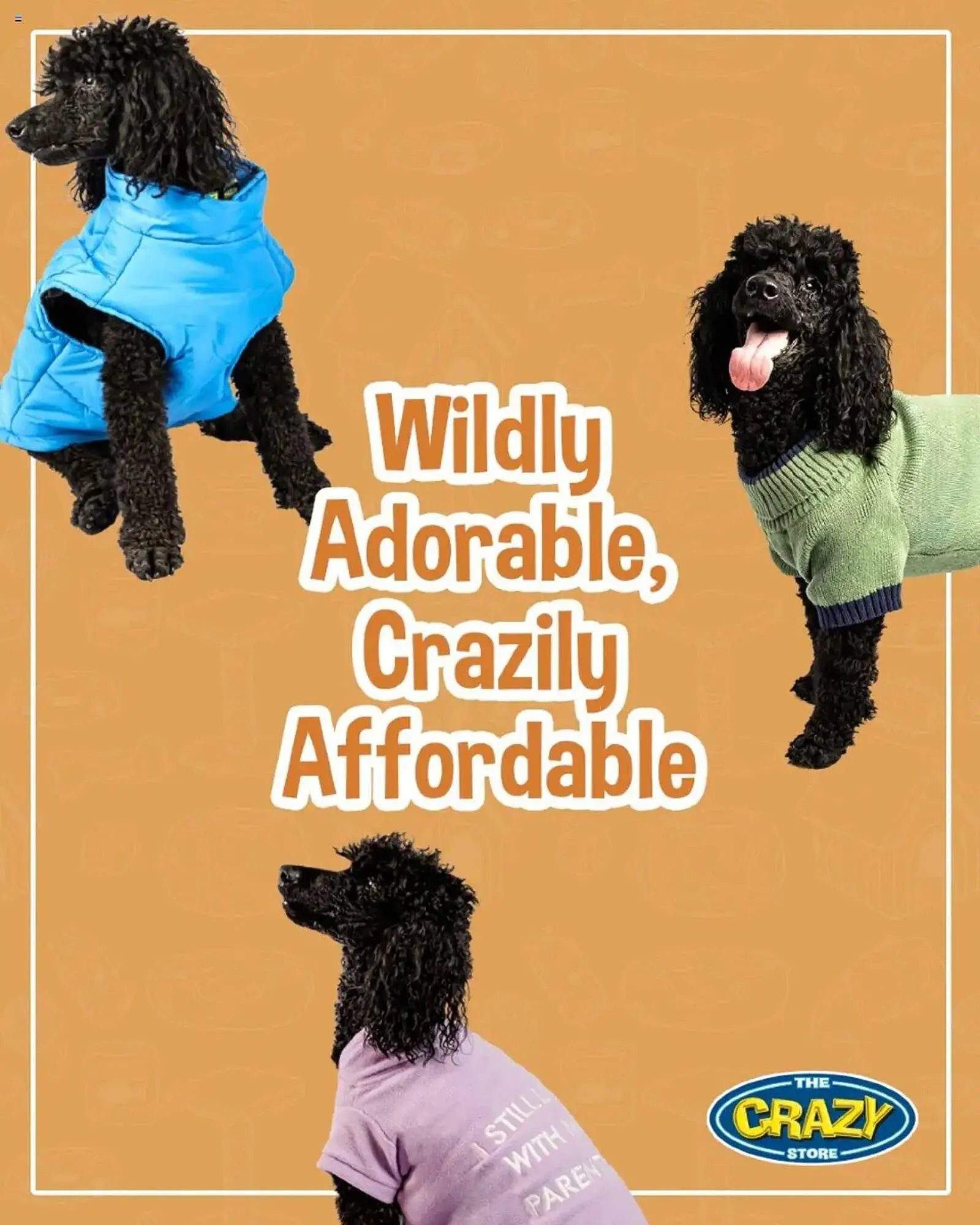 The Crazy Store catalogue from 19 May to 27 May 2025 - Catalogue Page 15