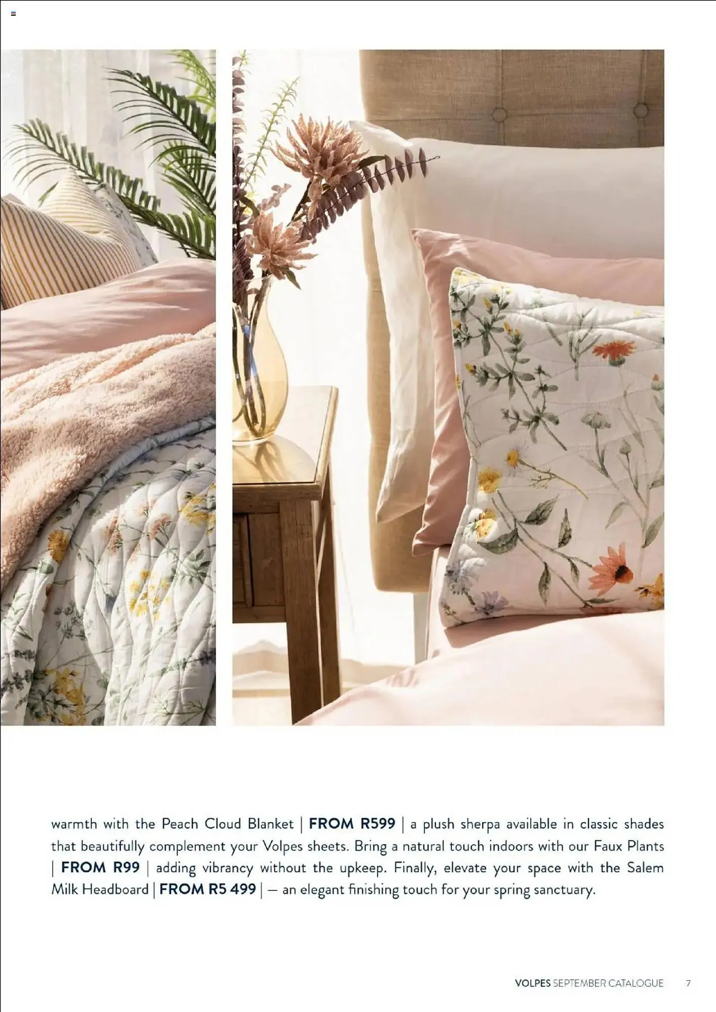 Volpes catalogue from 1 September to 30 September 2025 - Catalogue Page 7
