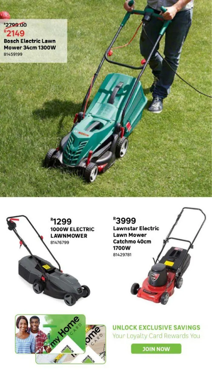 Live Love Garden. from 9 August to 3 September 2024 - Catalogue Page 13