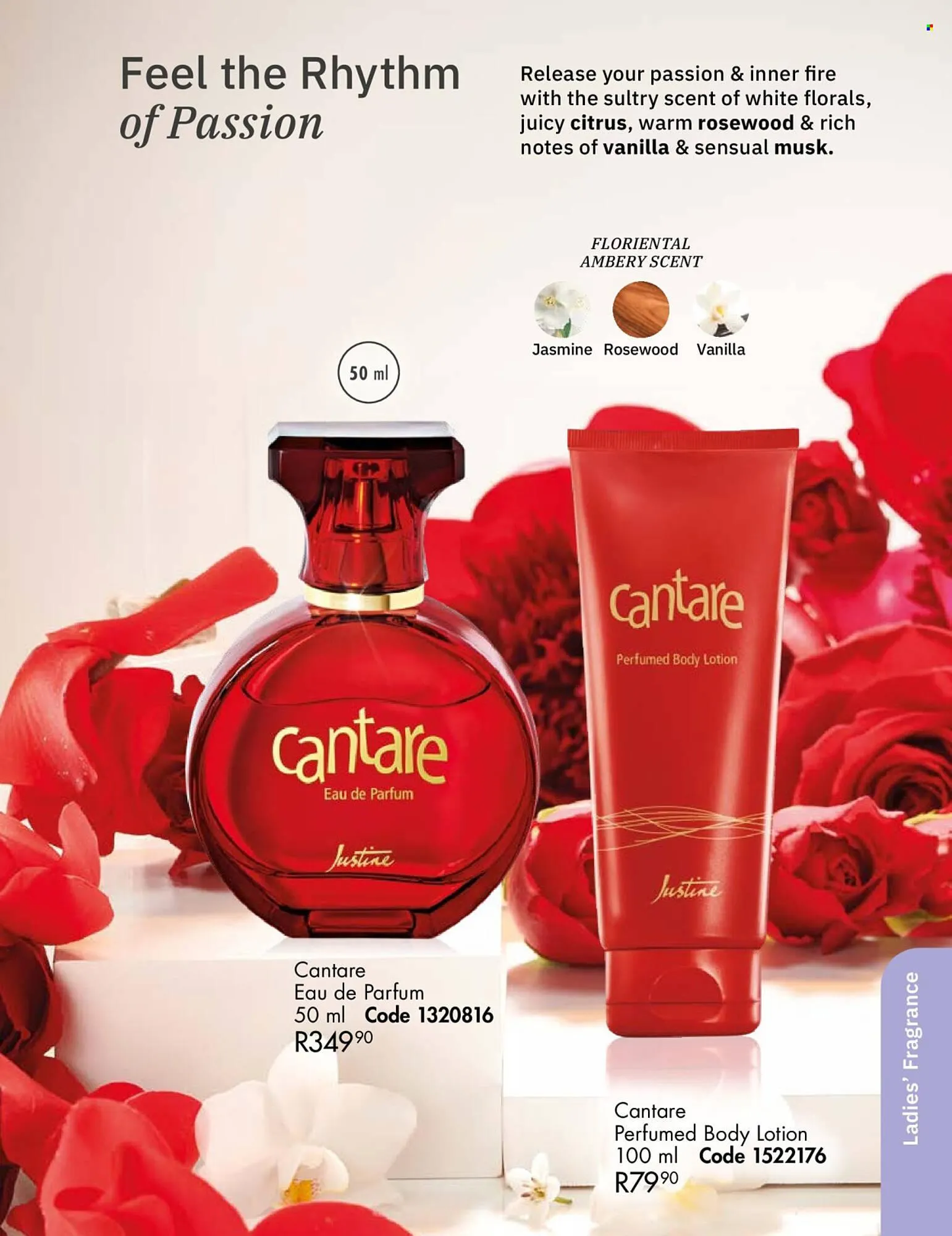 Justine catalogue from 1 August to 31 August 2025 - Catalogue Page 53