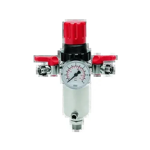 Airline Pressure Reducer & Filter 1/2in GAV RPF189