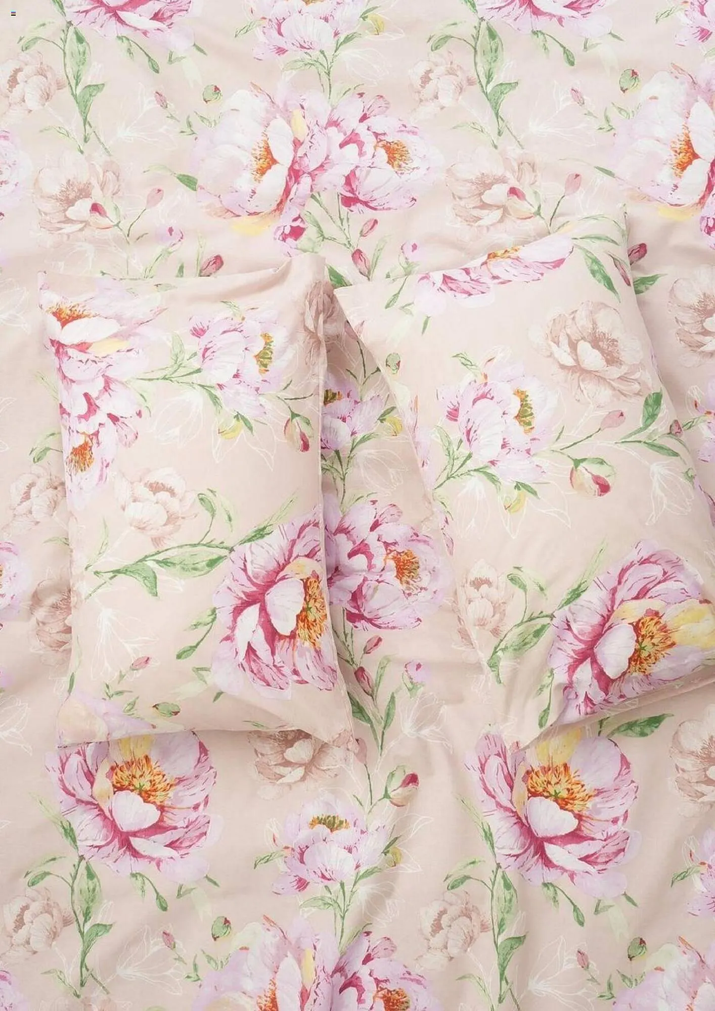 Sheet Street catalogue from 1 August to 30 August 2024 - Catalogue Page 3