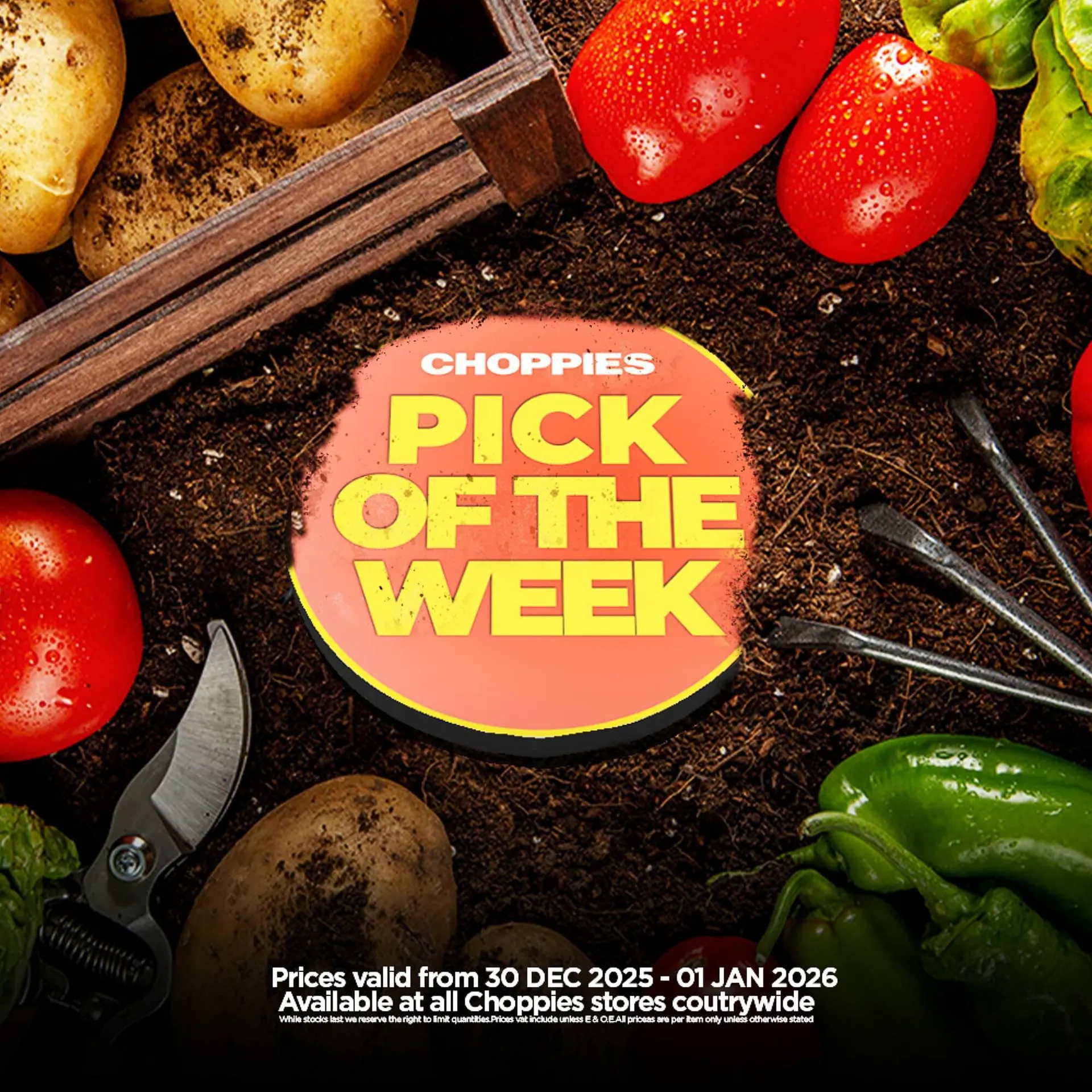 Choppies catalogue from 30 December to 1 January 2026 - Catalogue Page 1