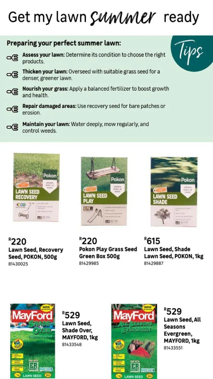 Live Love Garden. from 9 August to 3 September 2024 - Catalogue Page 8