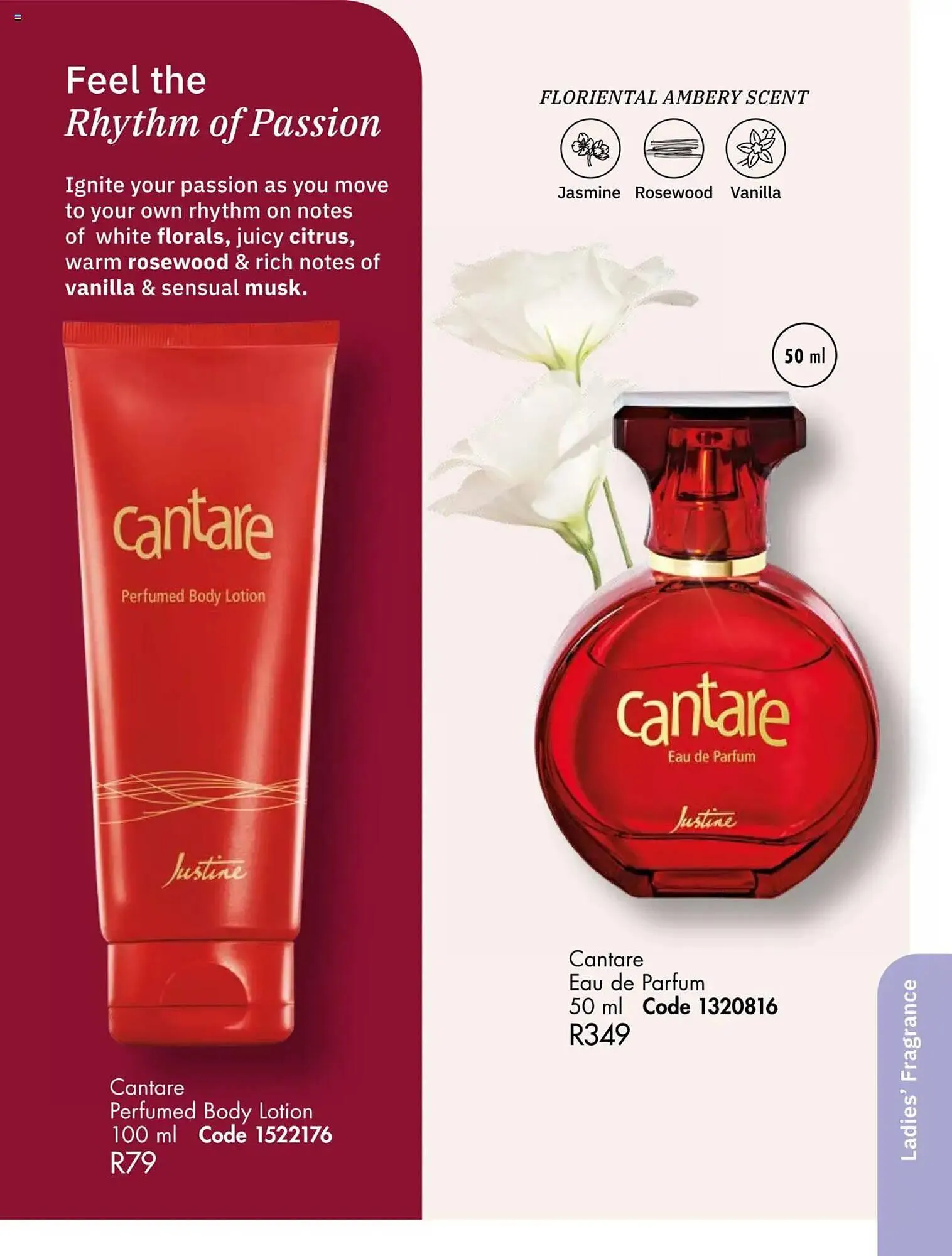 Justine catalogue from 1 March to 31 March 2025 - Catalogue Page 55