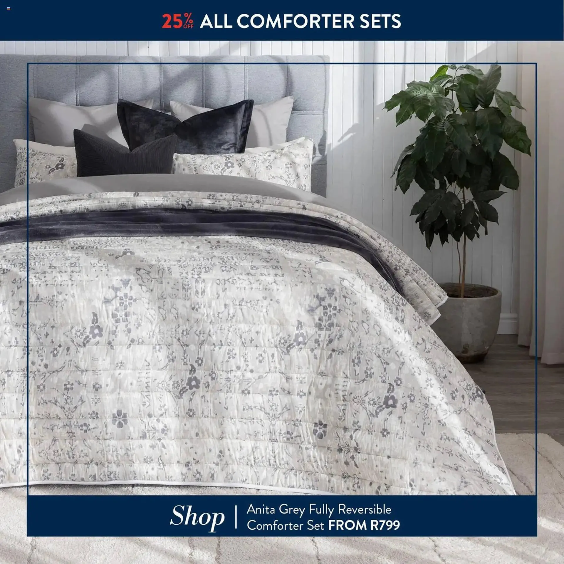 Volpes catalogue from 22 January to 25 January 2026 - Catalogue Page 4