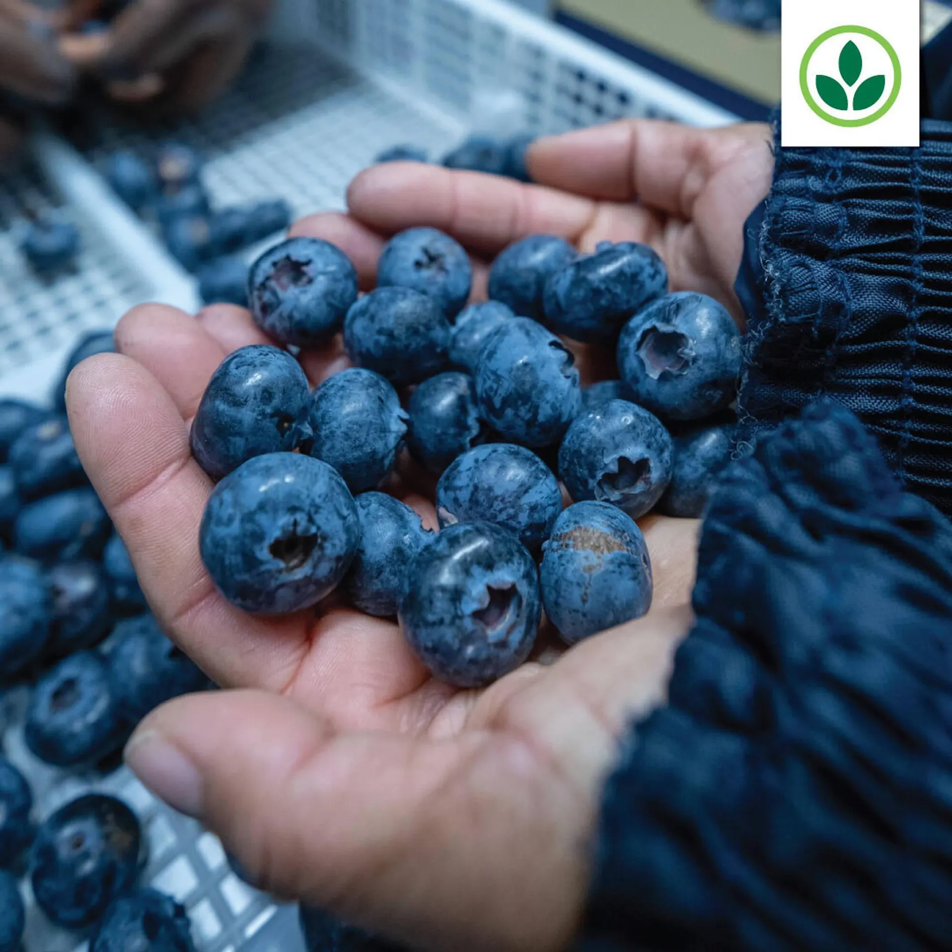 Agrimark catalogue from 27 January to 2 February 2026 - Catalogue Page 4