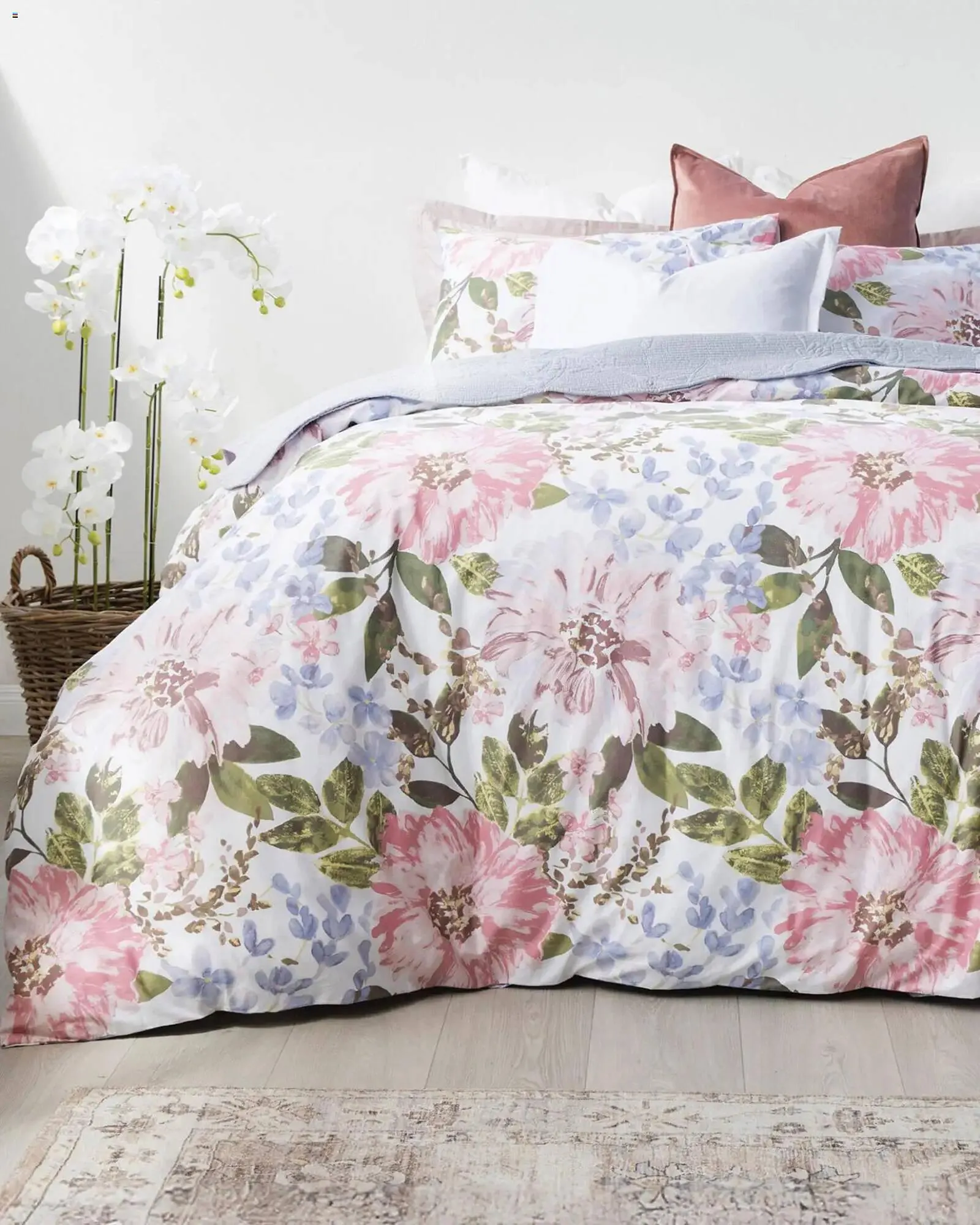 Volpes catalogue from 14 December to 21 December 2025 - Catalogue Page 2