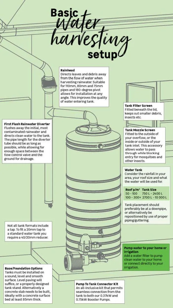 Live Love Garden. from 9 August to 3 September 2024 - Catalogue Page 22