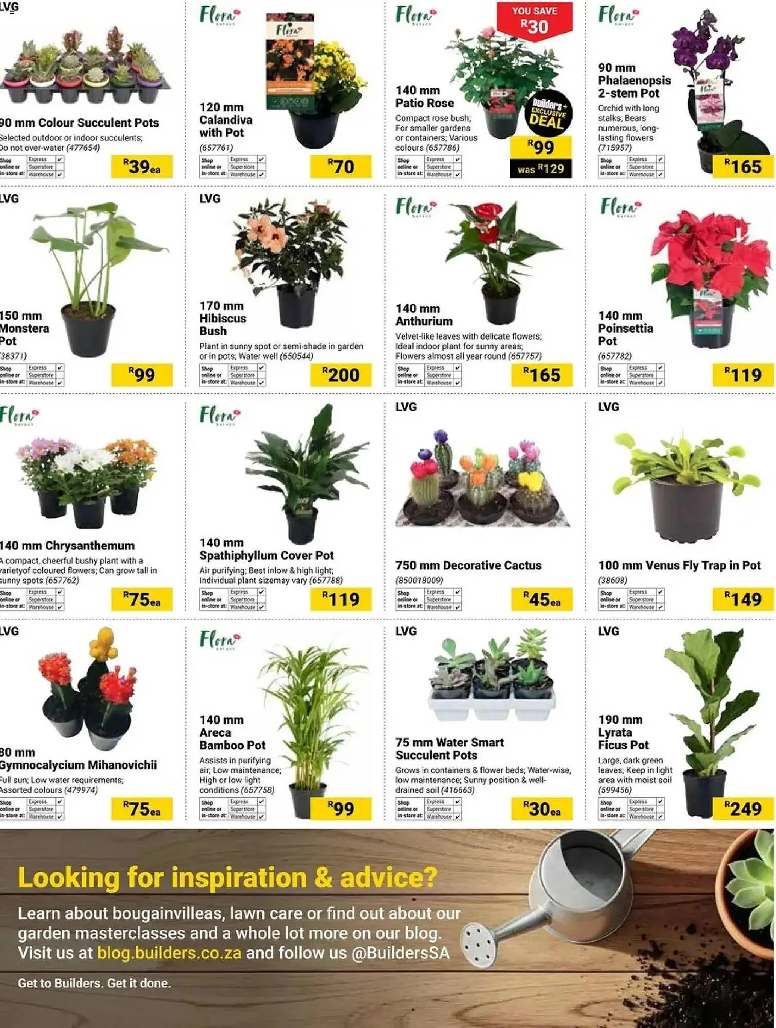 Builders Warehouse catalogue from 2 December to 2 February 2026 - Catalogue Page 5