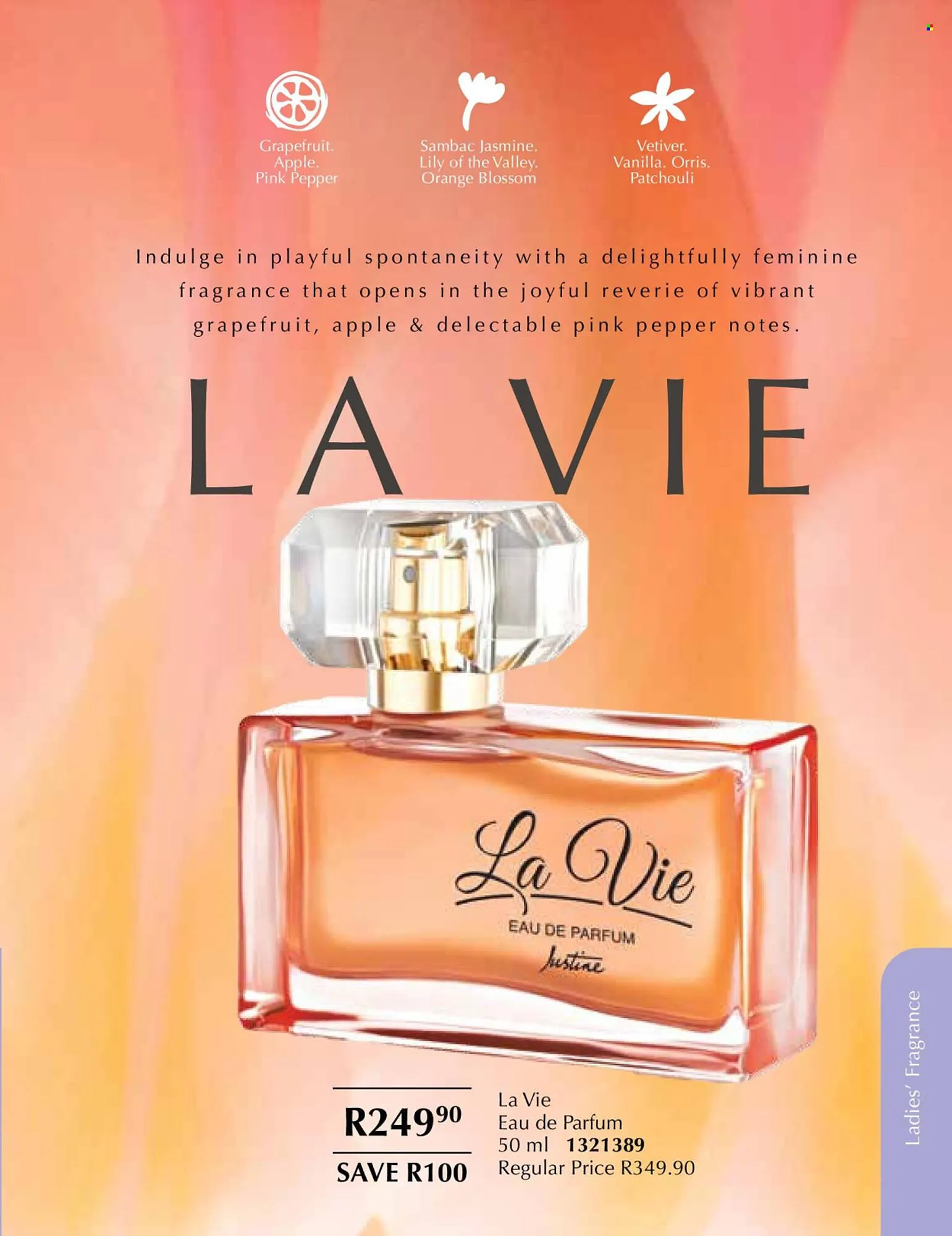 Justine brochure from 1 January to 31 January 2026 - Catalogue Page 49