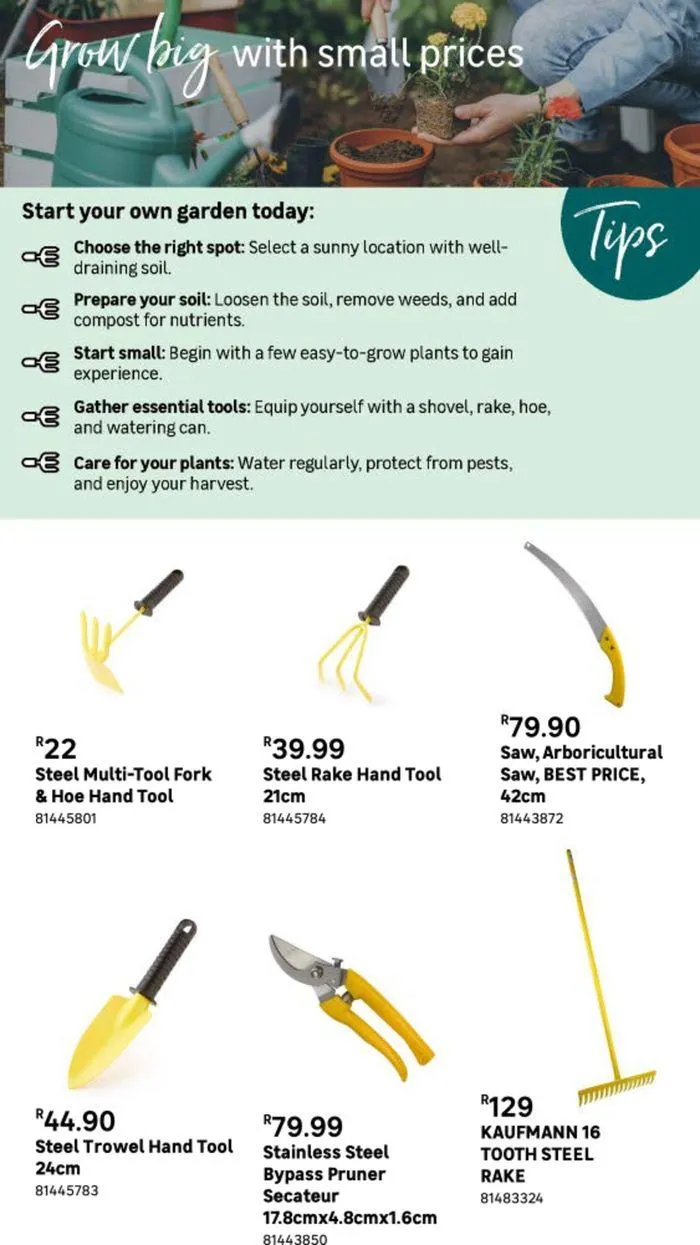 Live Love Garden. from 9 August to 3 September 2024 - Catalogue Page 4