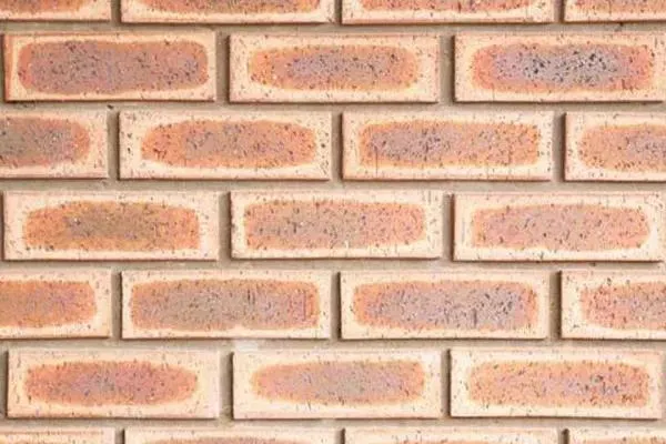 Dark Cathcart Travertine FBS