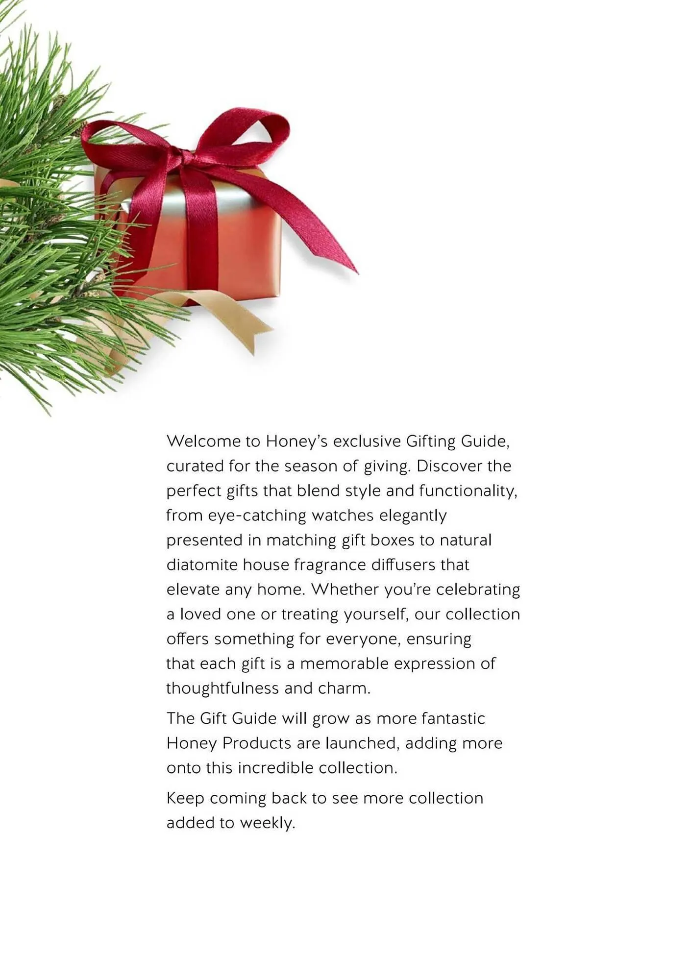 Honey Fashion Accessories catalogue from 23 October to 31 December 2024 - Catalogue Page 12