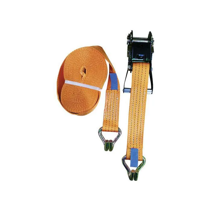 Autogear Ratchet Tie Down 2 X 10m