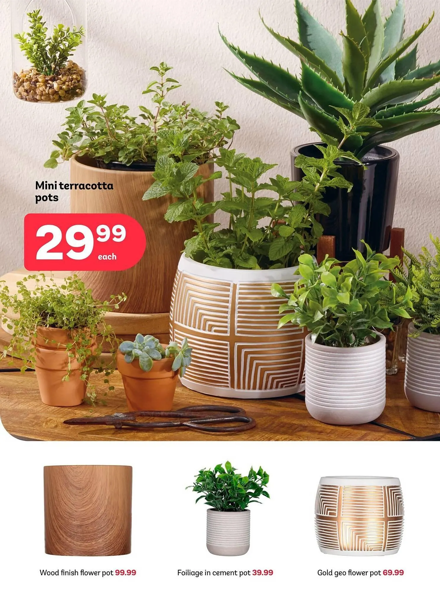 PEP catalogue from 23 April to 29 April 2025 - Catalogue Page 8