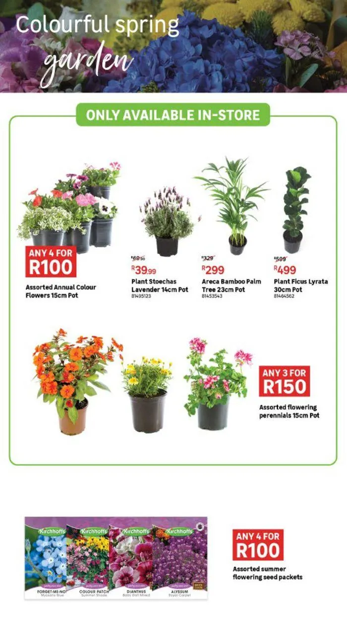 Live Love Garden. from 9 August to 3 September 2024 - Catalogue Page 2