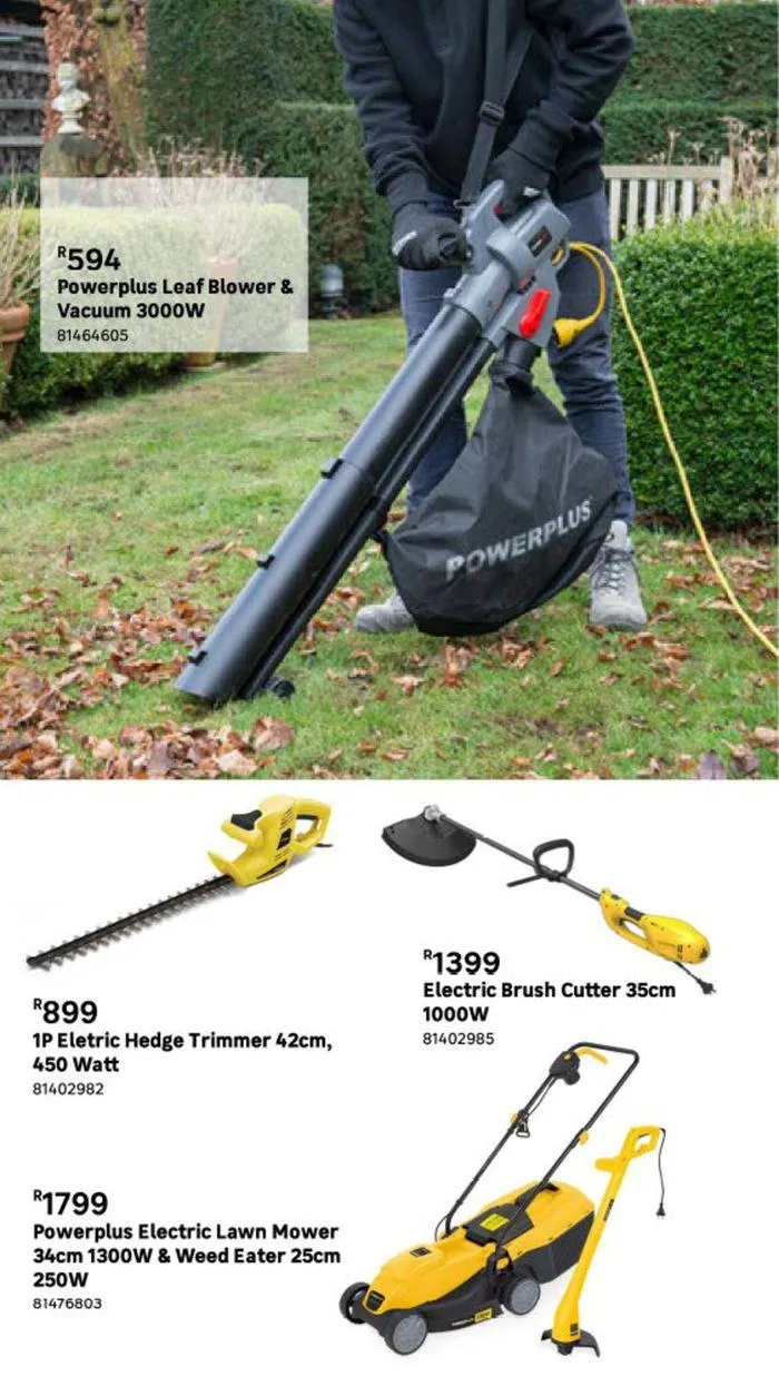 Live Love Garden. from 9 August to 3 September 2024 - Catalogue Page 7