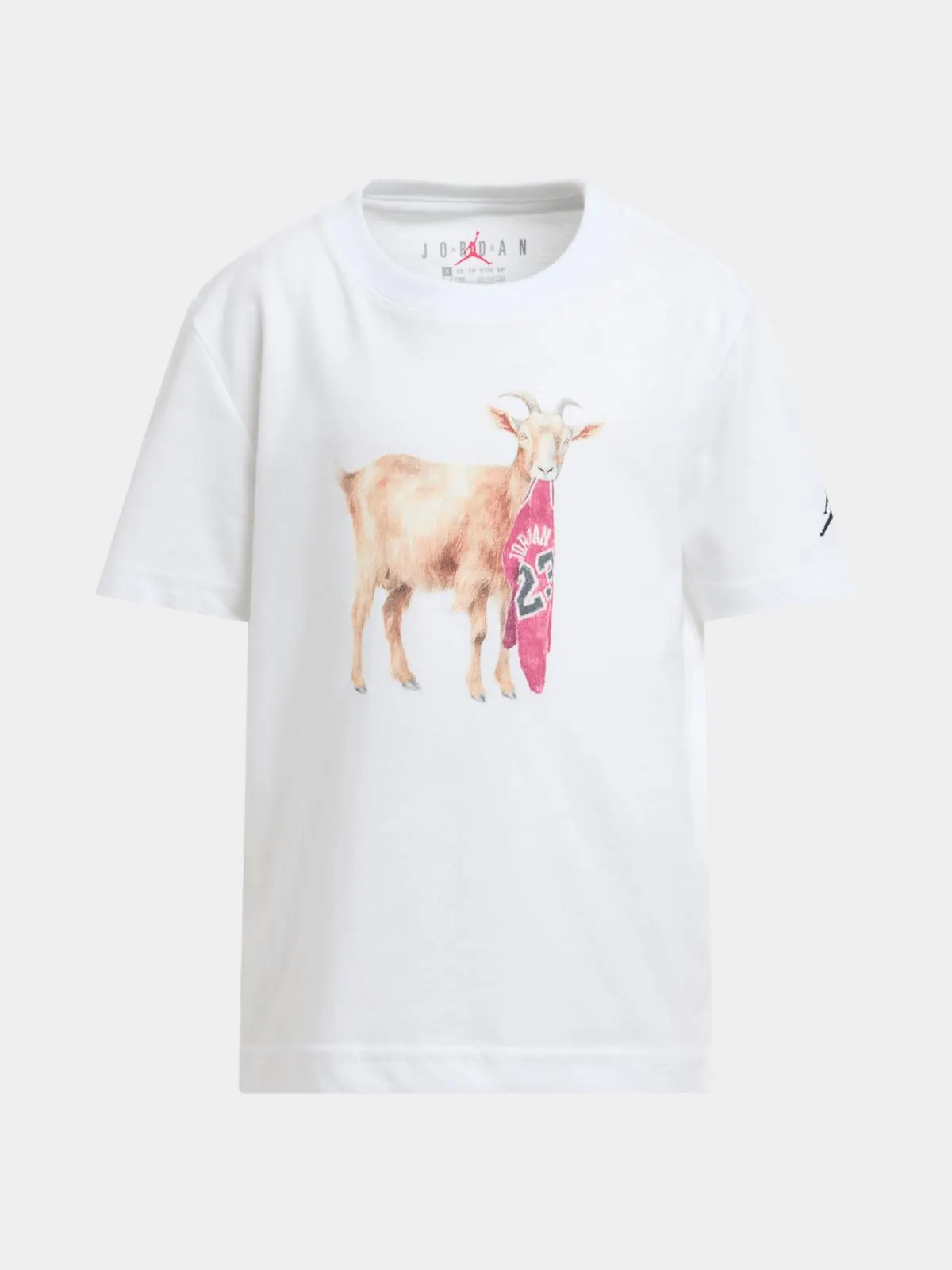 Jordan Boys White T-Shirt
