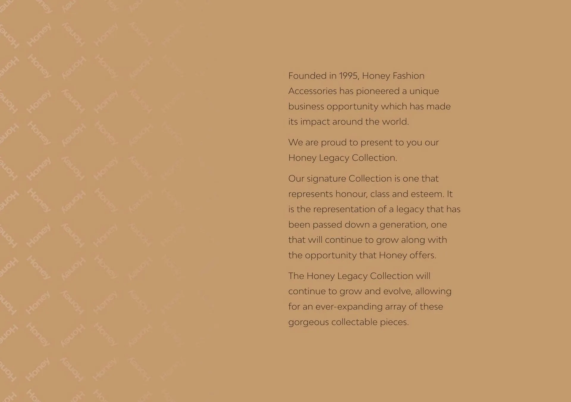 Honey Fashion Accessories catalogue from 1 December to 31 December 2025 - Catalogue Page 2