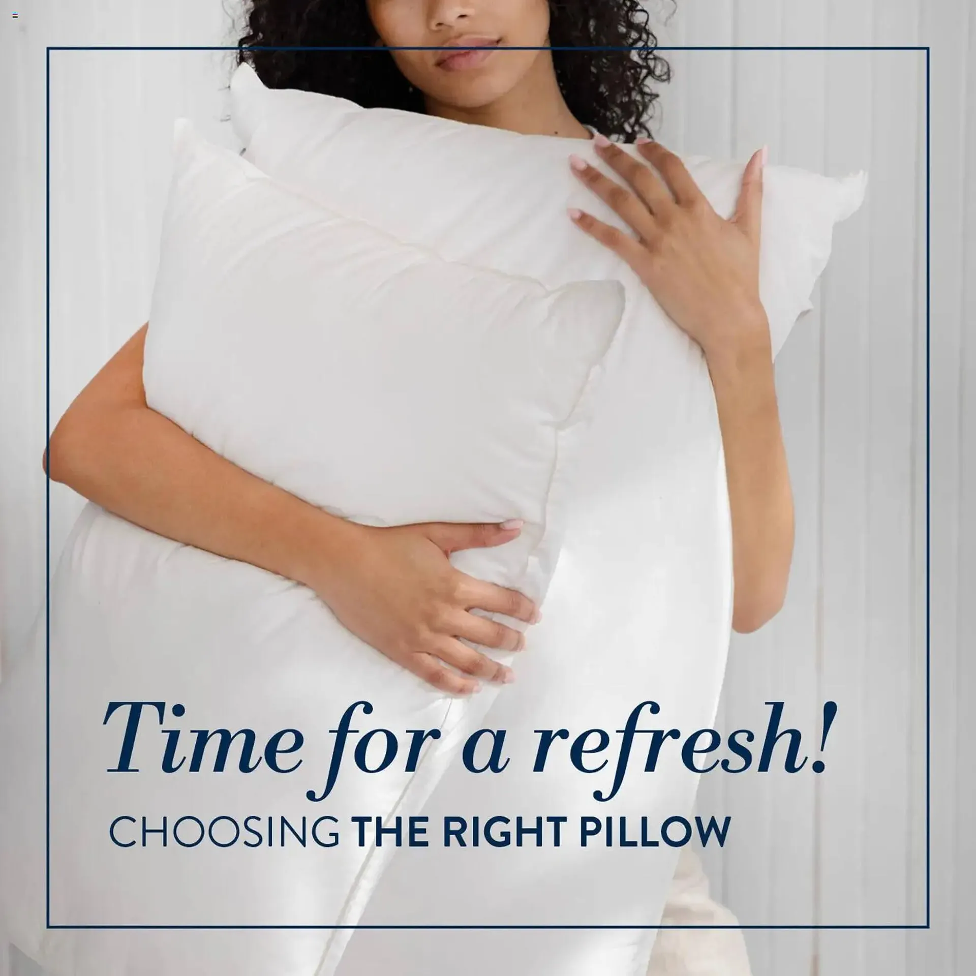 Volpes catalogue - 1