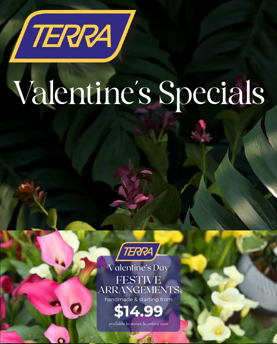 Terra Green Houses from February 10 to February 24 2026 - flyer page 