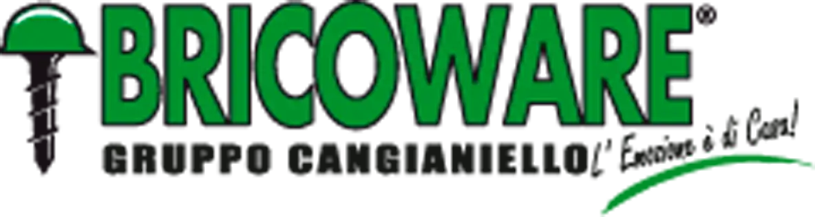 Bricoware logo del volantino attuale