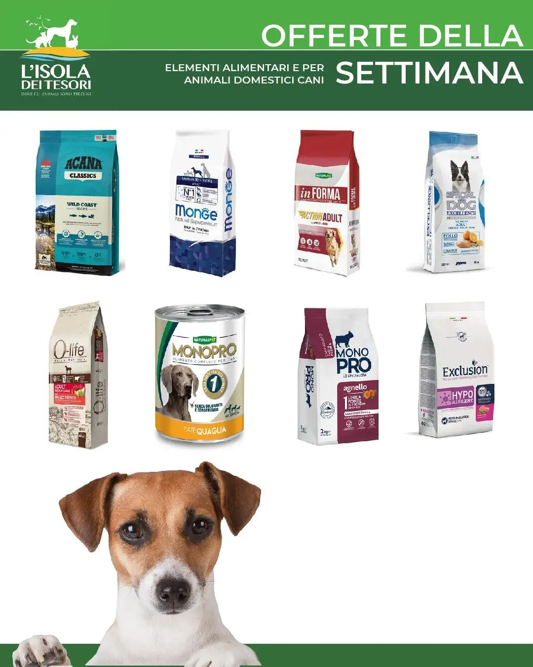 Isola dei Tesori - Animali-domestici Cane da 11 agosto a 26 agosto di 2026 - Pagina del volantino 