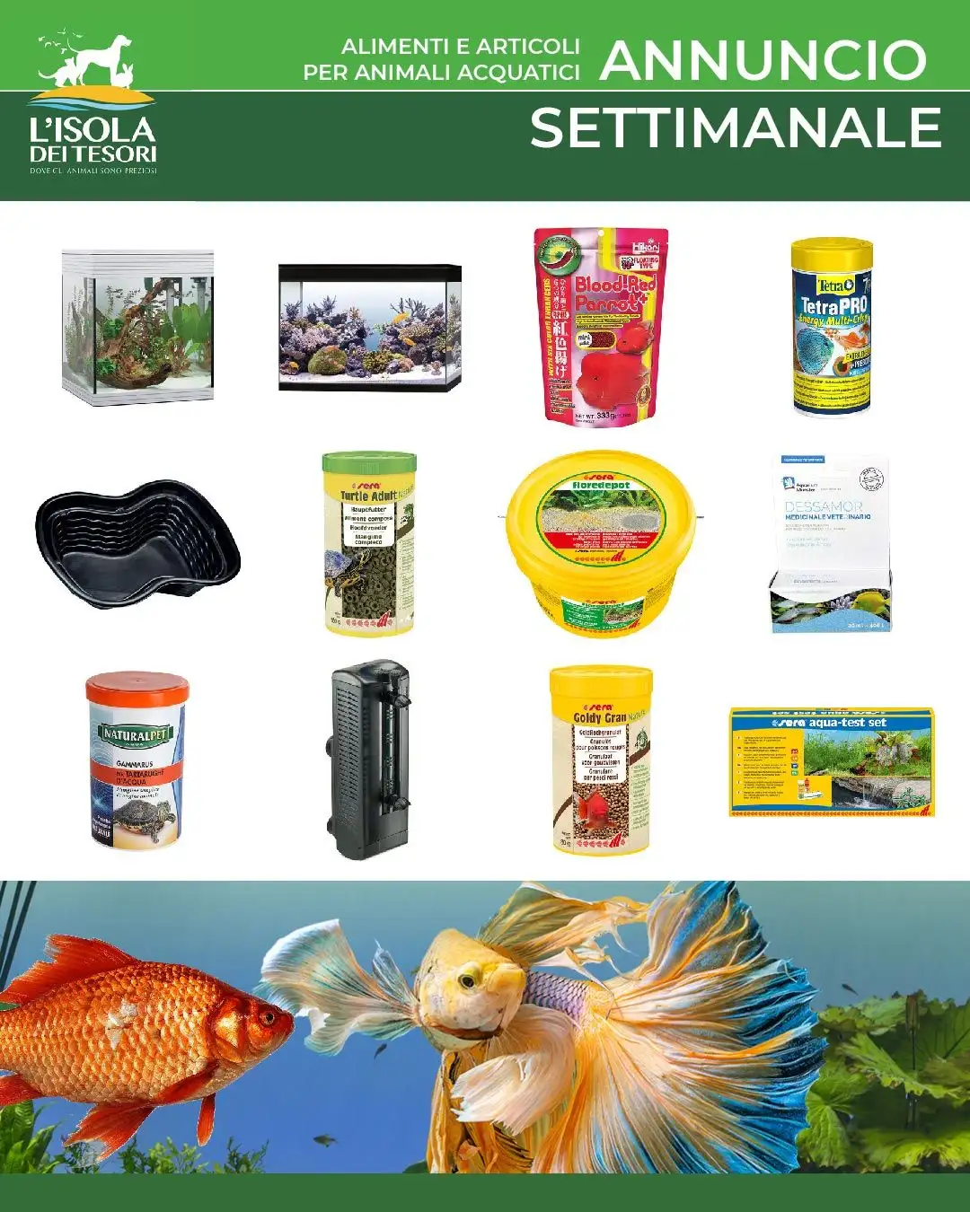 Isola Tesori Catalogo Acquariologia da 11 agosto a 26 agosto di 2026 - Pagina del volantino 