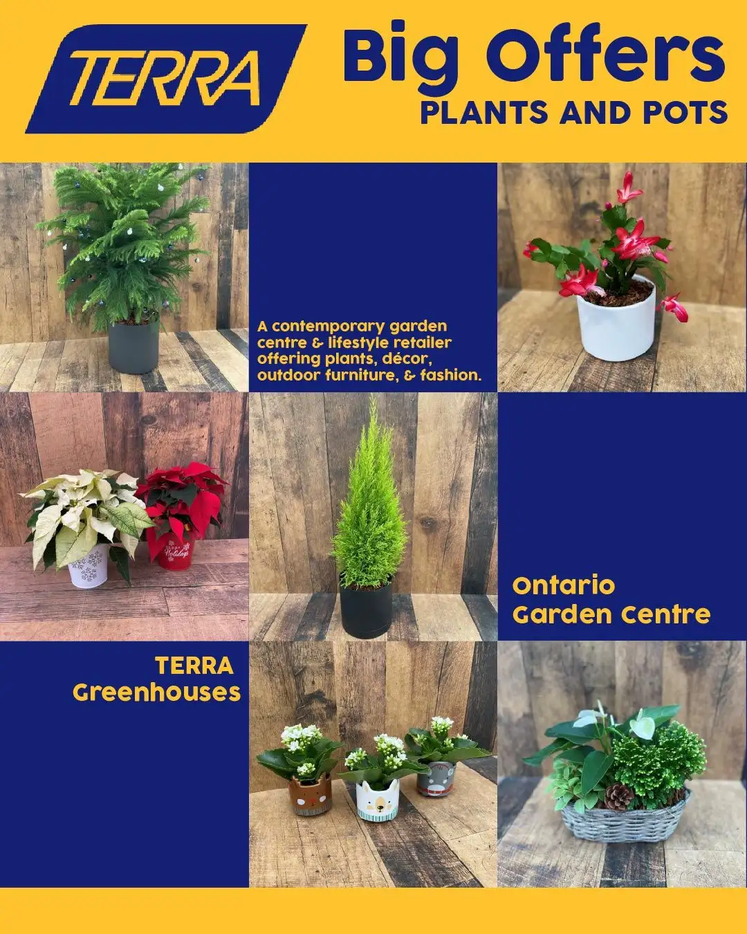 Terra Green Houses Deals from August 6 to August 21 2026 - flyer page