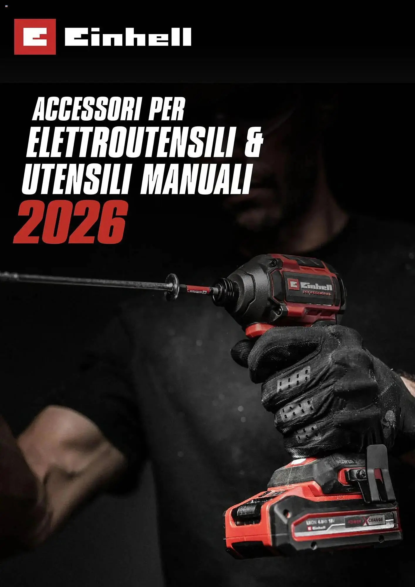 Volantino Einhell da 17 marzo a 31 dicembre di 2026 - Pagina del volantino 1