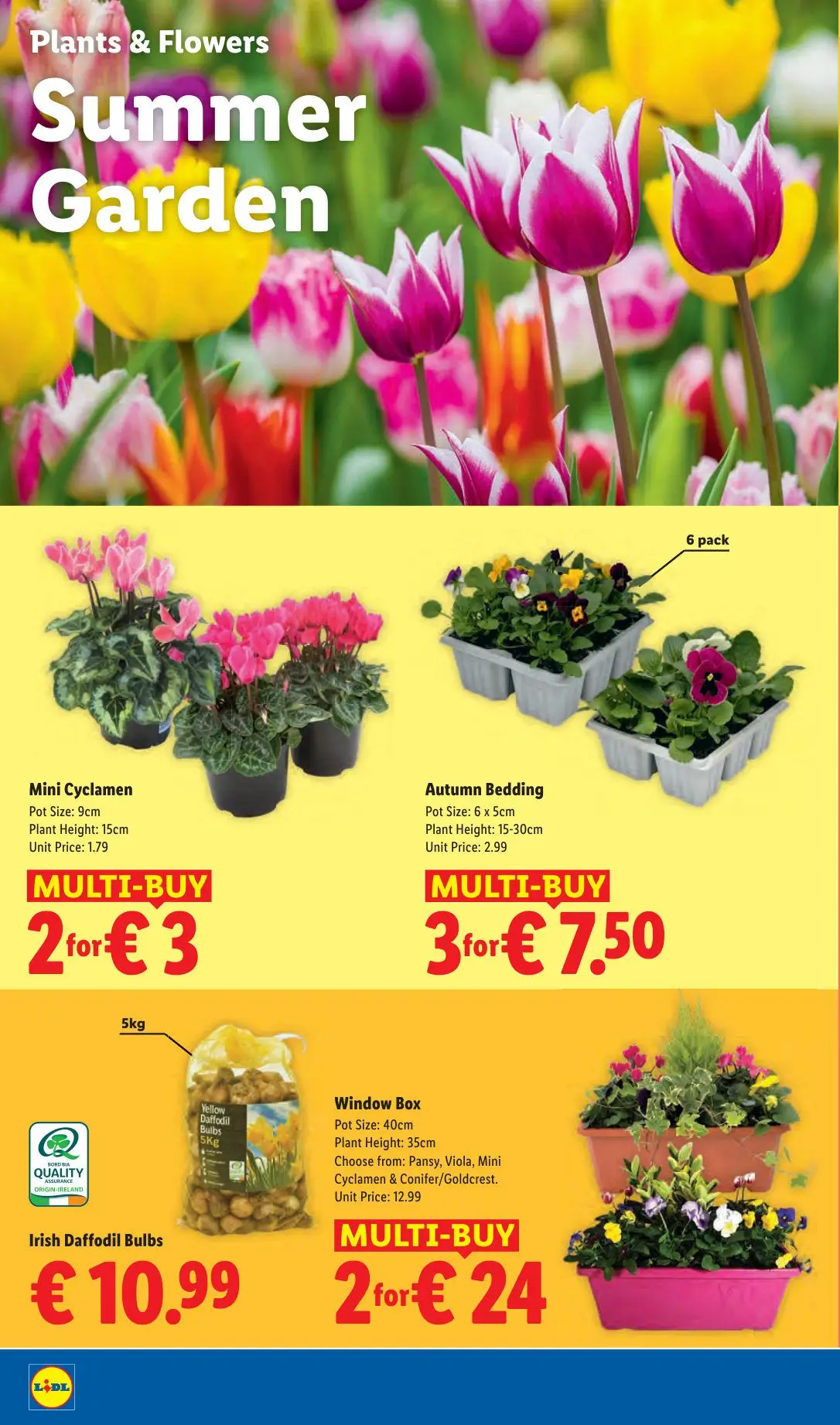 Lidl — 2026-08-14 - 20 August 26 August 2026 - Page 24
