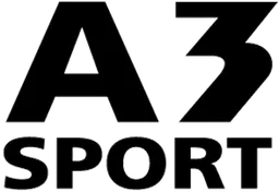 a3 sport logo