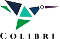 colibrì logo