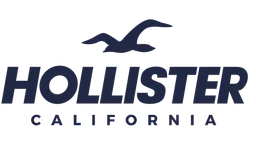 hollister logo