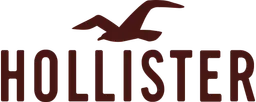 hollister logo