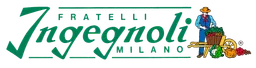 ingegnoli logo