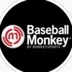 baseballmonkey logo