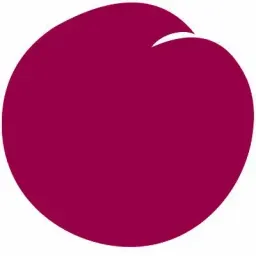 plum market logo