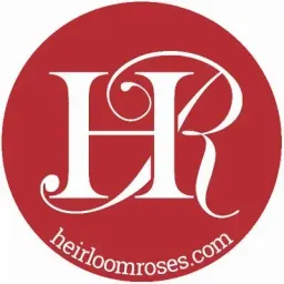 heirloom roses logo