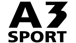 a3 sport logo