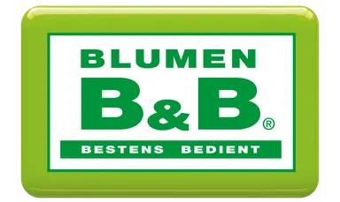 Blumen B&B