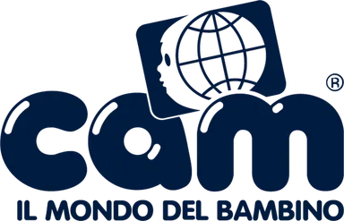Cam