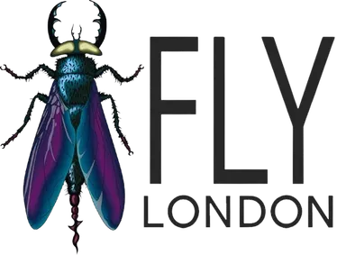 Fly London