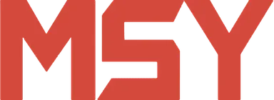 MSY Technology